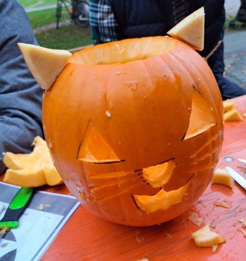 Es sind kreative Kürbisköpfe entstanden