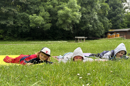 die Robbenkinder ruhen sich im Wald aus