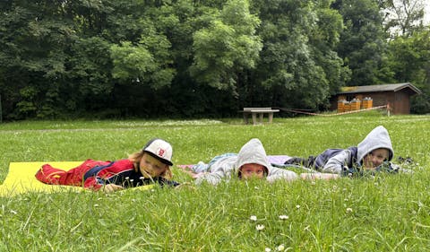 die Robbenkinder ruhen sich im Wald aus