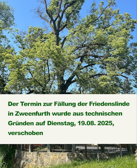 Friedenslinde Zweenfurth