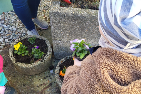 die Bärenkinder pflanzen Frühlingsblumen
