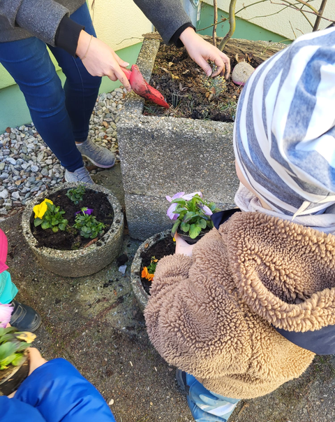 die Bärenkinder pflanzen Frühlingsblumen