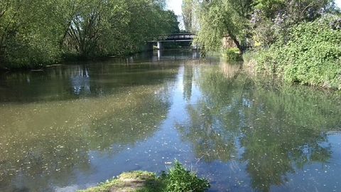 Leipzig Mündung Parthe in Weiße Elster - Blick nach Westen