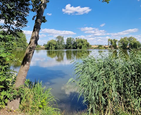 Teich Cunnersdorf
