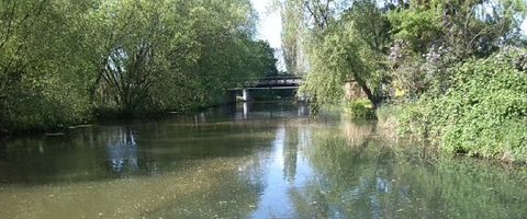 Leipzig Mündung Parthe in die Weiße Elster - Blick nach Westen