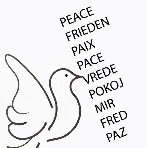 Heimatverein Borsdorf e.V. 