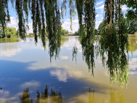 Cunnersdorfer Teich
